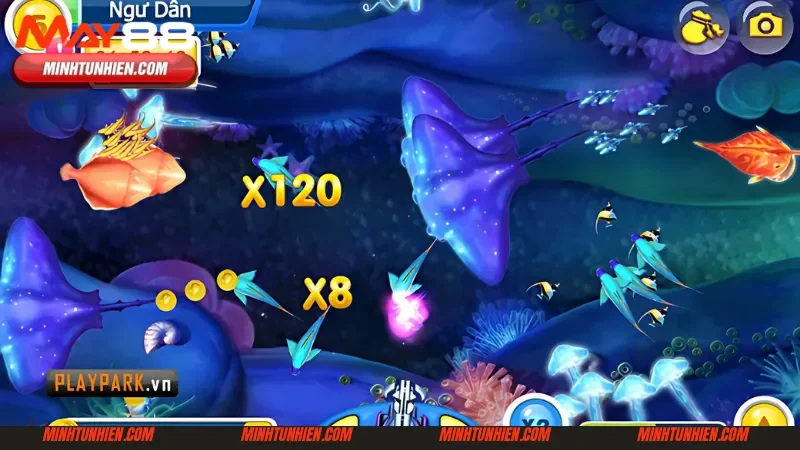 Hướng dẫn chơi Vua Săn Cá cách tham gia chi tiết 