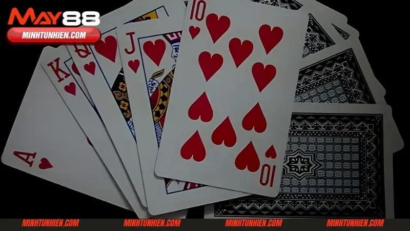 Thông tin chính về chơi bài tiến lên online tại May88