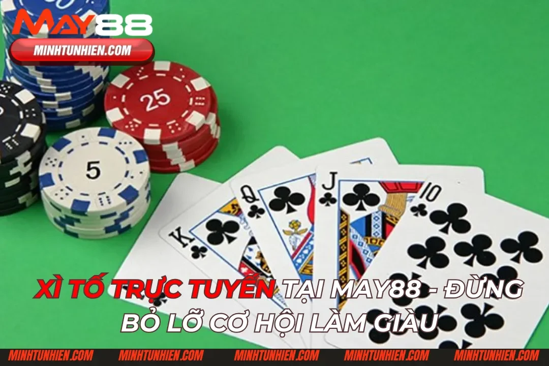Xì Tố Trực Tuyến Tại May88 - Đừng Bỏ Lỡ Cơ Hội Làm Giàu